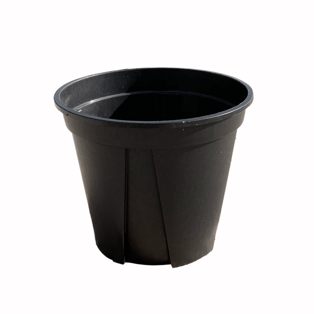 Wholesale 2.5L Black Garden Plastic Nursery Gallon Pot Thick Gallon Bonsai Pruning Made Of PP / HDPE