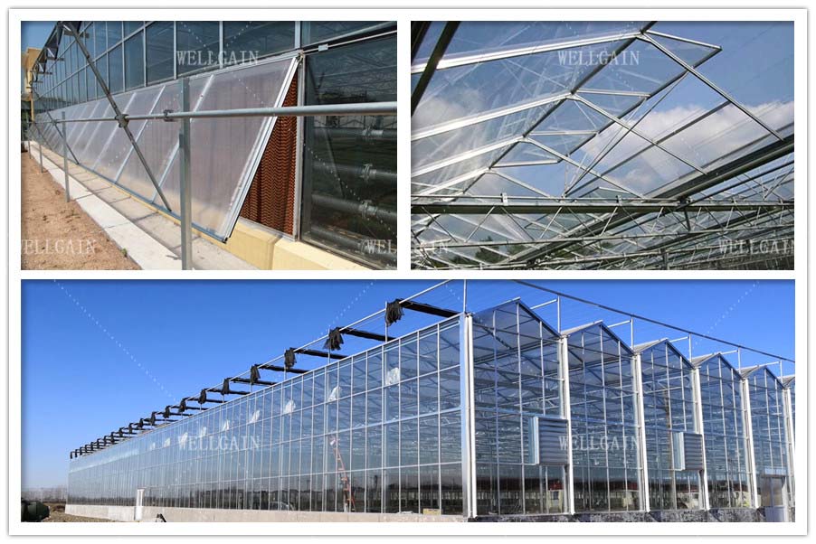 Hydroponic Transparent Glass Greenhouse For Plants With Ventilation Cooling System