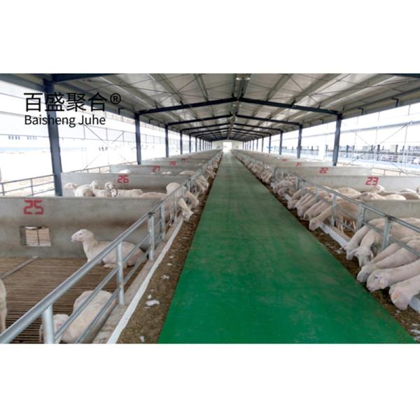 Aluminum Alloy Window Prefab Steel Construction Agricultural Building for Cattle