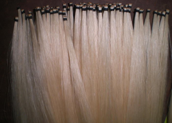 5 Hanks best qualtiy Violin Bow Hair 78cm, unbleached stallion horse hair 6 gram