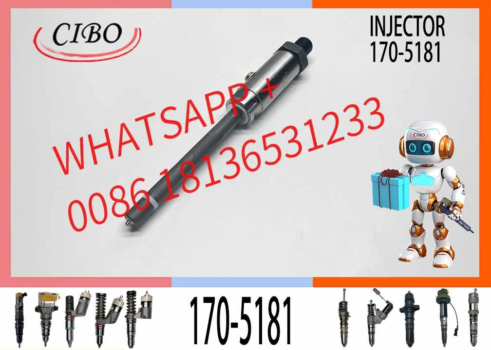 Fuel Injector 7W7045 0r-3591 170-5181 for Excavator Engine 3306b 3306 973 973c