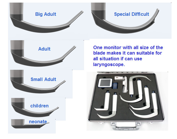Veterinary use flexible endoscope Fiber Optic Anesthesia video laryngoscopy difficult airway pediatric neonate
