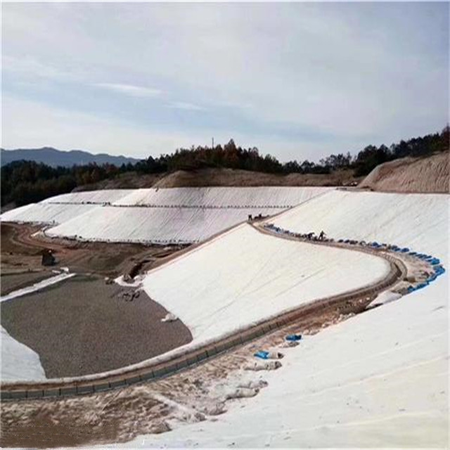 HDPE Composite Geonet Plastic Geocomposite for Drainage and Protection Installations