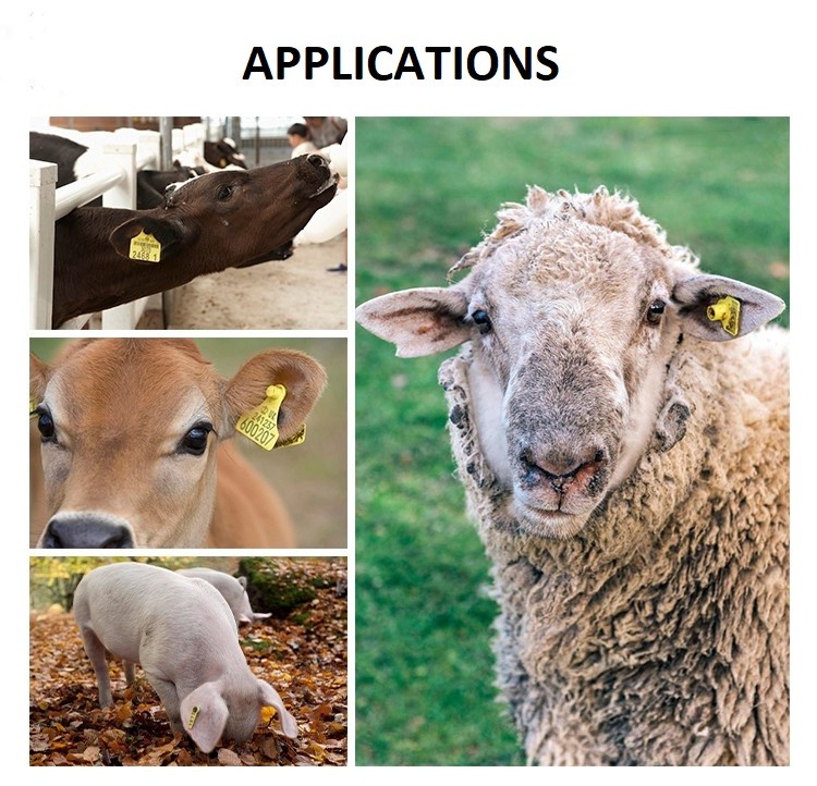 Animal Plastic TPU Livestock Ear Tags Goat 74mm Farm Pig