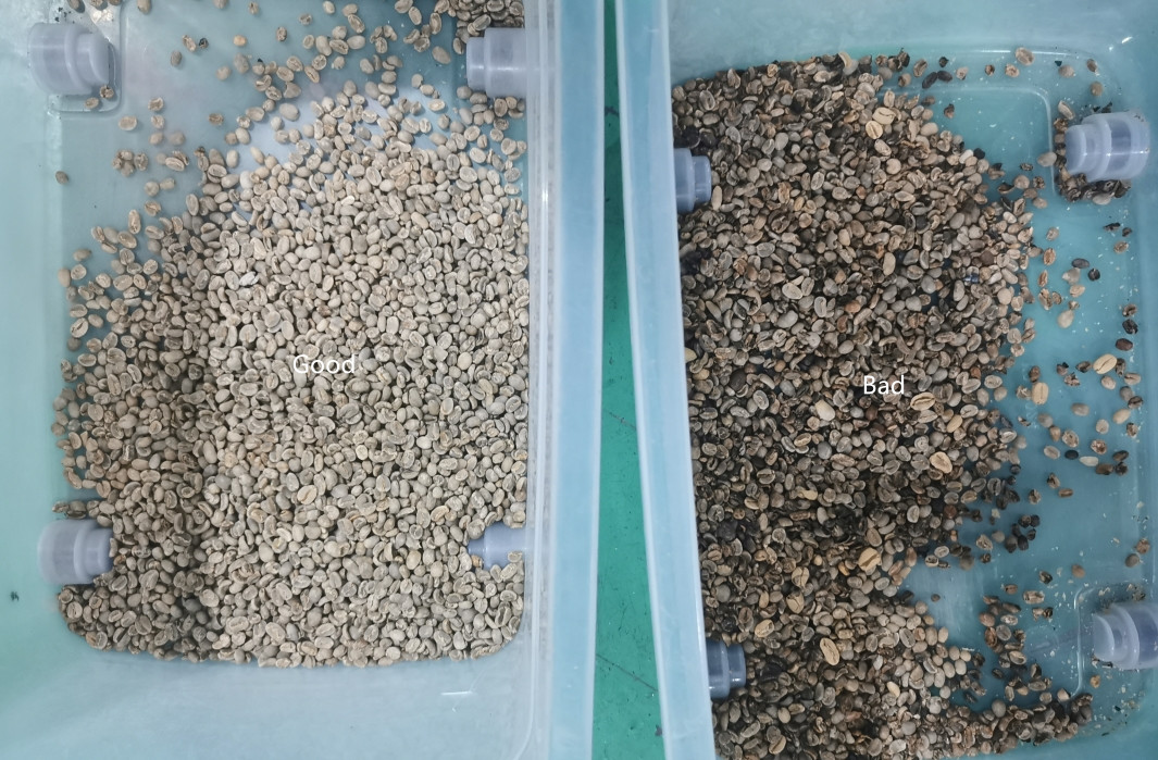 High Accuracy CCD Optical Multifunction Garlic Color Separator Popular In Brazil