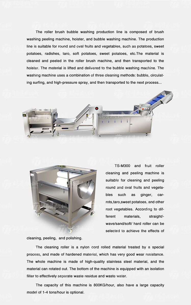 Multifunctional Vegetable And Fruit Processing Line Hair Roller Bubble Cleaning Production Line