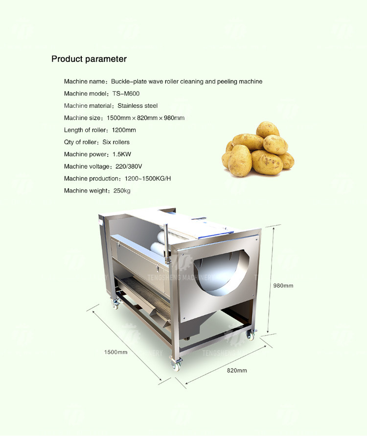 250KG Carrot Brush Cleaning And Peeling Machine Brush Cleaning Machine