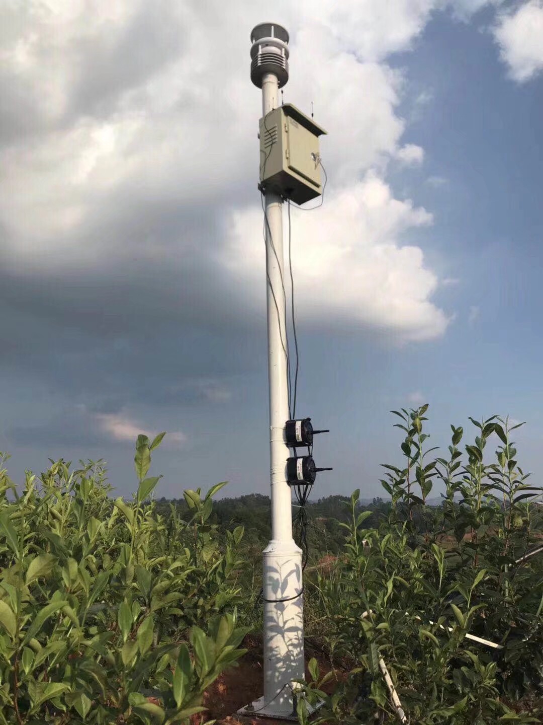 Temperature Humidity Air Pressure and More High Accuracy Compact Weather Station by BGT