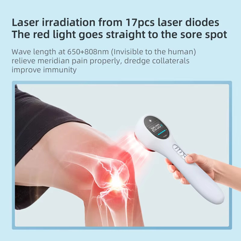 Portable Handheld Red Light Therapy Device for Pets Veterinary Instrument Instrument for Pain Relief