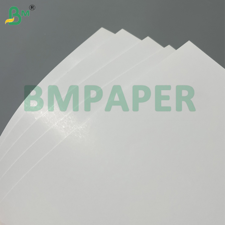 200g 250g Moistureproof  White Top Coated Kraft Coard For Frozen Product Packaging