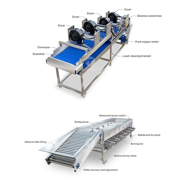 Tengsheng High Voltage Spraying Fruit And Vegetable Processing Line Industrial residual degradation