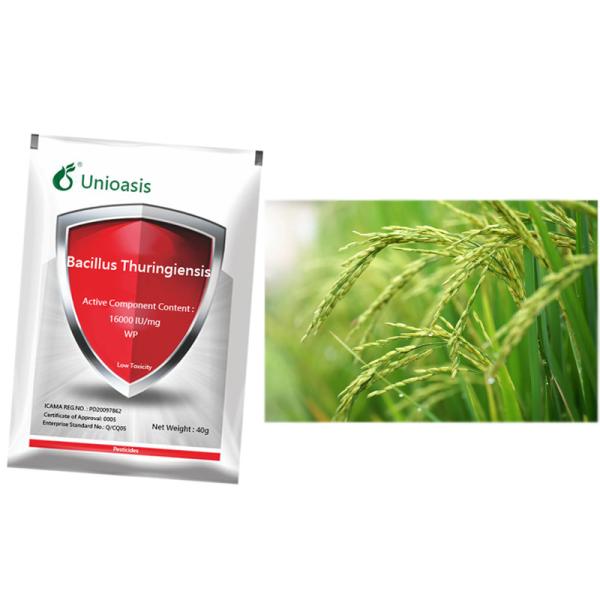 Bacillus Thuringiensis Pure Biological Agent 16000 IU/mg Wholesale Factory