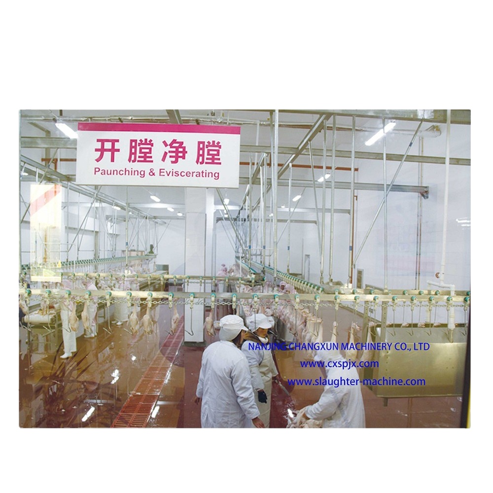 500PCS Automatic Poultry Slaughterhouse Equipment Stainless Steel Chicken Farming Line