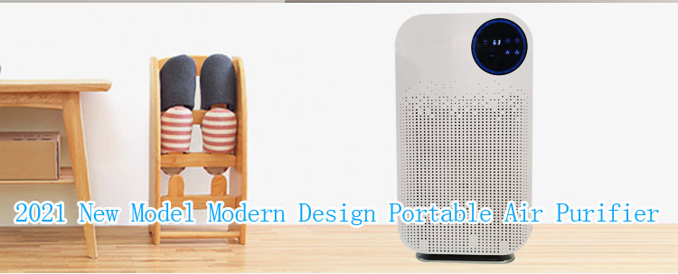 HOMEFISH Ultraviolet UVC Air Purifier 220V/110V 4 Fliters 6 Stage Purification