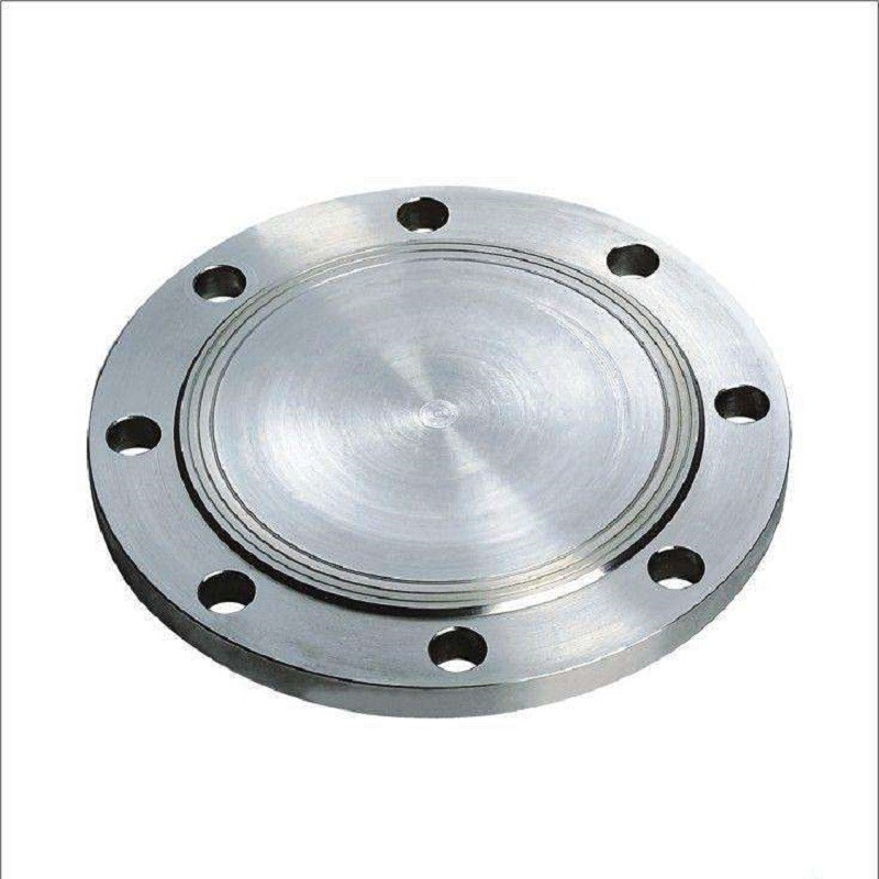 Hot Selling Blind Pipe Fittings Carbon Steel Stainless Steel Forged Flange