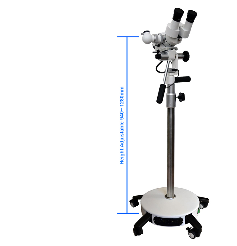 A43.1902 Video Colposcopie Step Zoom 0.4x 0.6x 1x 1.6x 2.5x Straight Stand
