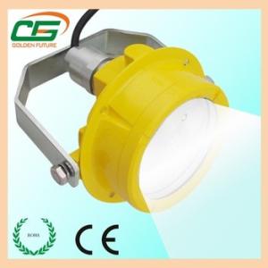  UL FCC Waterproof Gas Station LED Canopy Light 20 Watt , WF2 LED Marine Dock Lighting Fixtures Manufactures