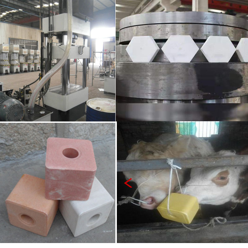 315 Ton Hydraulic Press Machine for Customized Animal Salt Lick Block Manufacturing