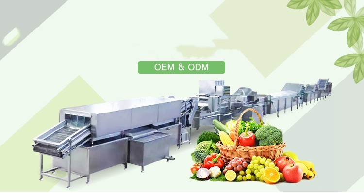 Adjustable Speed Mango Processing Machine Black Pepper Drying Machine 5.5kw