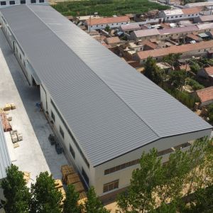Prefabricated Steel Warehouse Workshop Q235B Q355B Customized