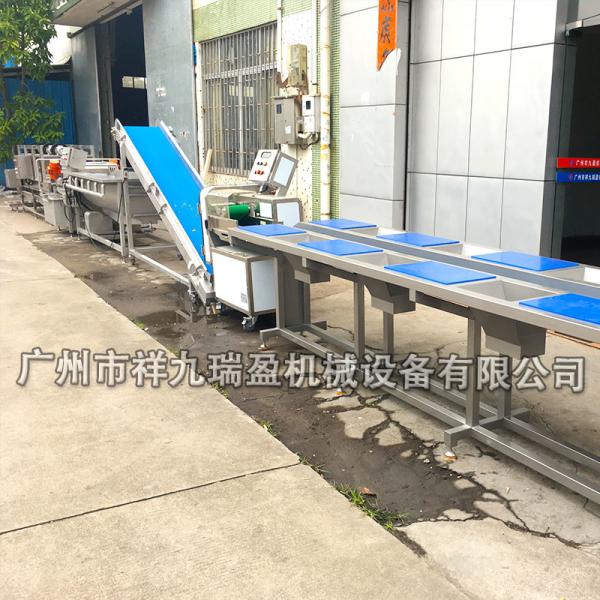 Stainless Steel Salad Production Line / Industrial Vegetable Inspecting