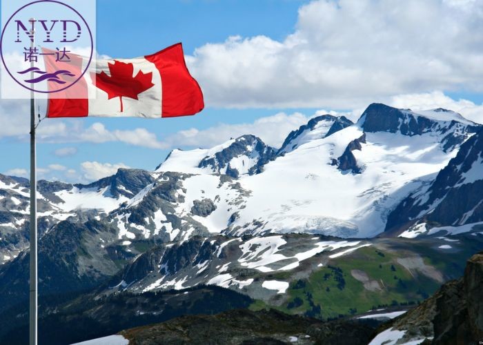 Sea Freight from to Canada Tracking Service Available Shipping Method of Air shipping Method of Sea