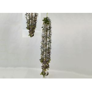  Lifelike 80cm Artificial Lysimachia Christinae Hance Manufactures