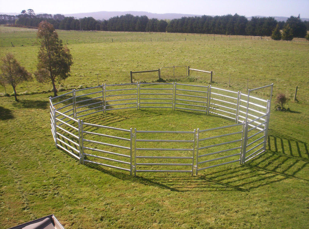 From Budget Cattle Panels To Extra Heavy Duty Portable Cattle Panels For sale