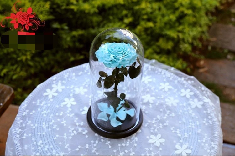 Hot sale Natural Fresh flower rose in big long glass dome Home Decoration and Christmas gift