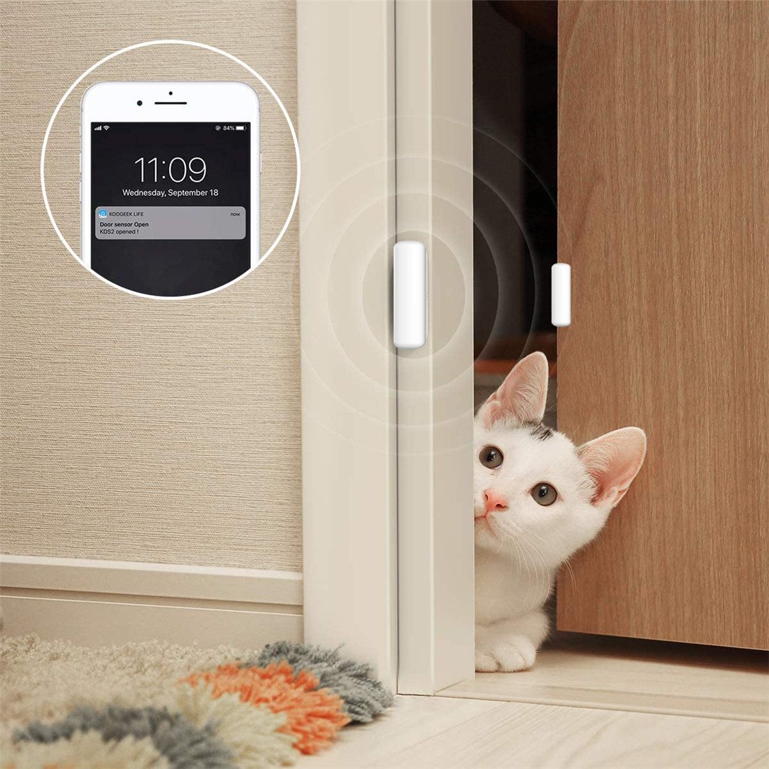 Smart Wi-Fi Door Sensor(SW10)