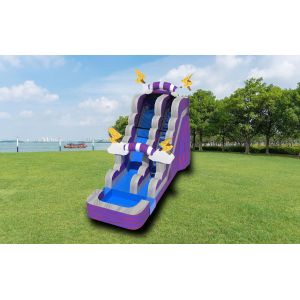 Inflatable Purple Thunder Water Slide With Pool Outdoor Playground
