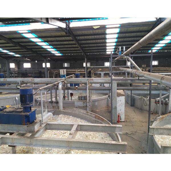 Professional Design Gelatin Washing Machine with Outstanding and Affordable
