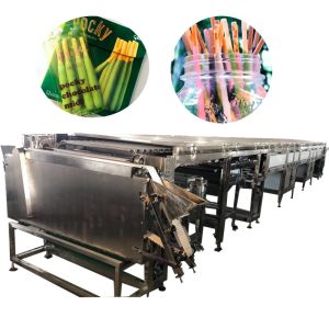 Automatic Pocky Biscuit Machine Finger Biscuit Chocolate Coating Machine