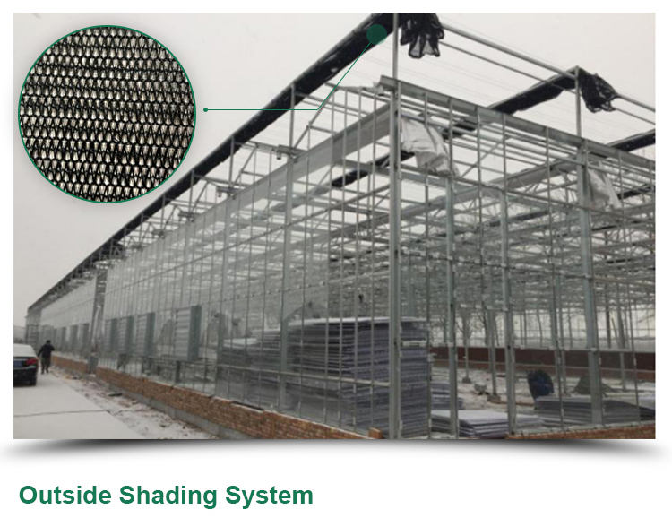 Glass for Outdoors Greenhouses Large Size and Hydroponic Nursery Sponge Advantage
