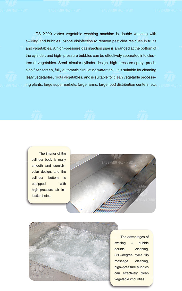 180KG Vegetable apple multi-function air bubble cleaning machine Eddy current fruit and vegetable cleaning machine