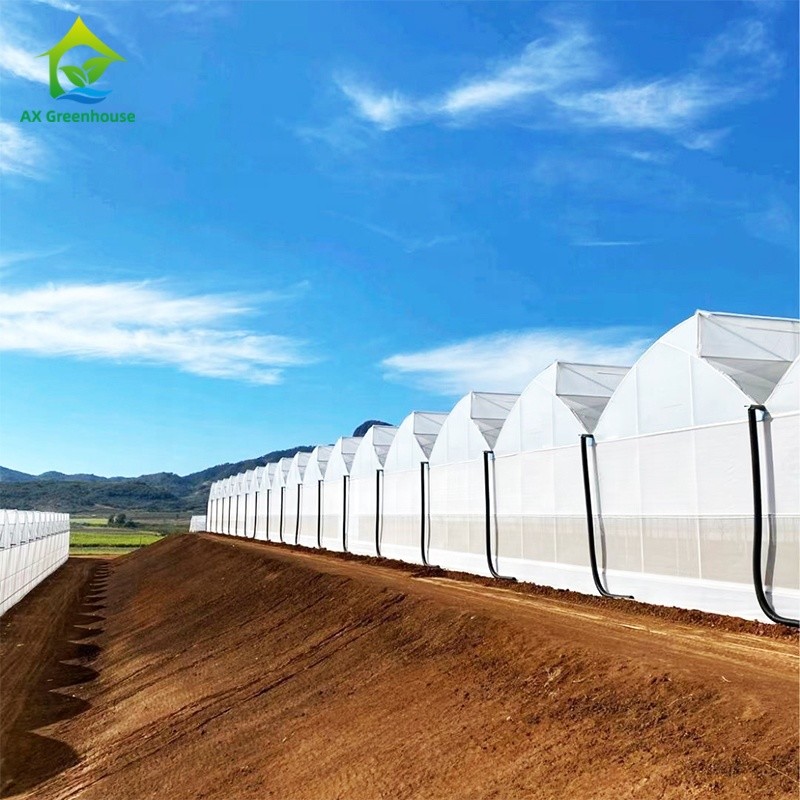 Horticultural Poly Tunnel Film Multi-span Agricultural Greenhouse With Shading System