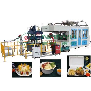 China Paper Pulp Molding Equipment Molded Bagasse Fiber Lunch Box Machine on sale