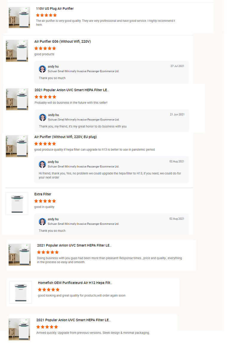 HOMEFISH Factory Wholesale Price Air Freshener UVC Sterilization Luftreiniger H11 HEPA Negative Ion Air Purifier for Home