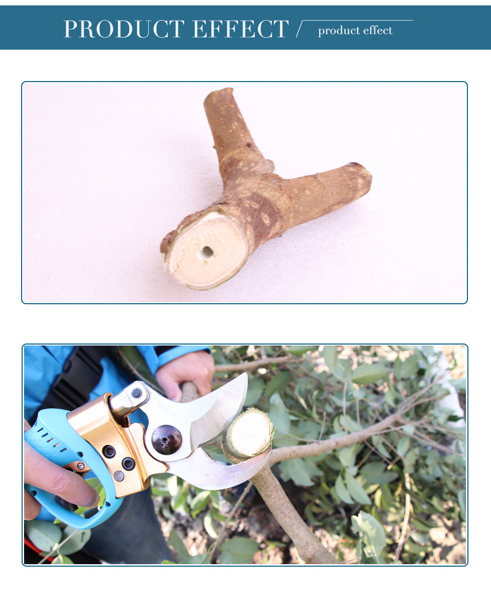 Swansoft 45mm Tesouras de poda elétricas Tesouras para podar vinhas e pomares Árvores de fruto