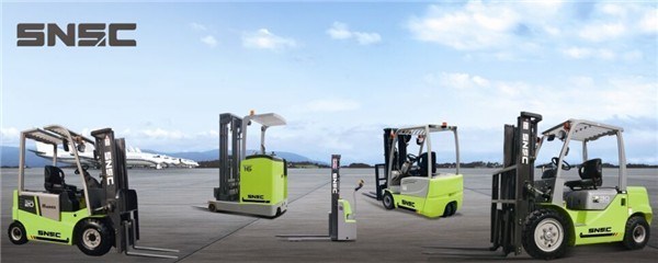 China 2.5ton Diesel Forklift with Tcm Technologie