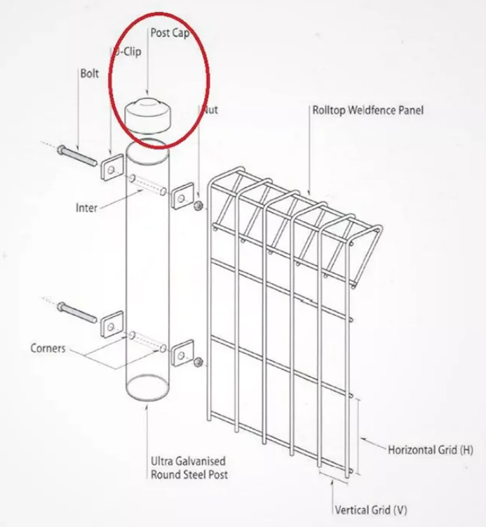 Green PVC Coated Welded Wire Mesh Fencing 4mm Garden BRC Fencing Mesh Panel