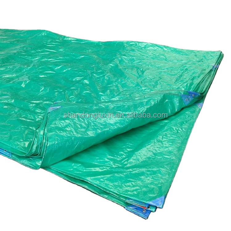 UV Protected Plastic Fabric Sheet for Agriculture/Industrial Cover in Standard Size