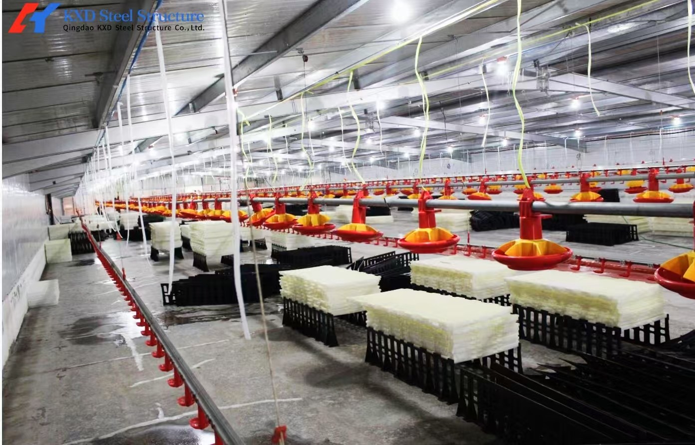 Size Customized Steel Poultry House Broiler Poultry Shed With Automatic Equipment