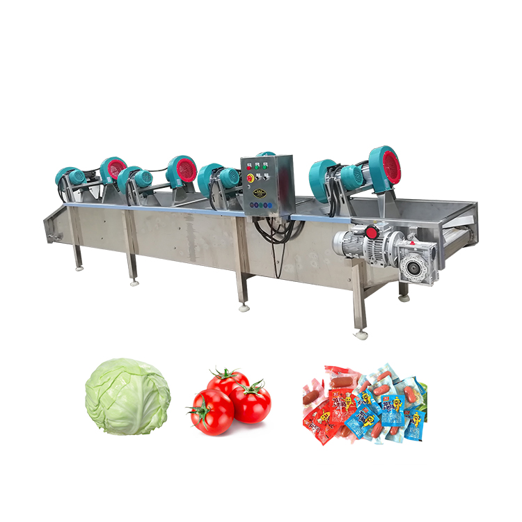 Continuous Food Drying Machine Fruit Bubble Washing Processing Line