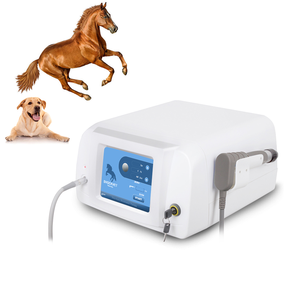 Veterinary Chiropractic & Animal ESWT Machine Acoustic Wave Massager