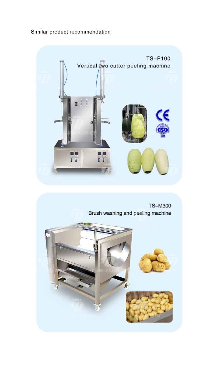 Automatic Stainless Steel Carrot Peeling Machine 0.1kw Food Processing Line