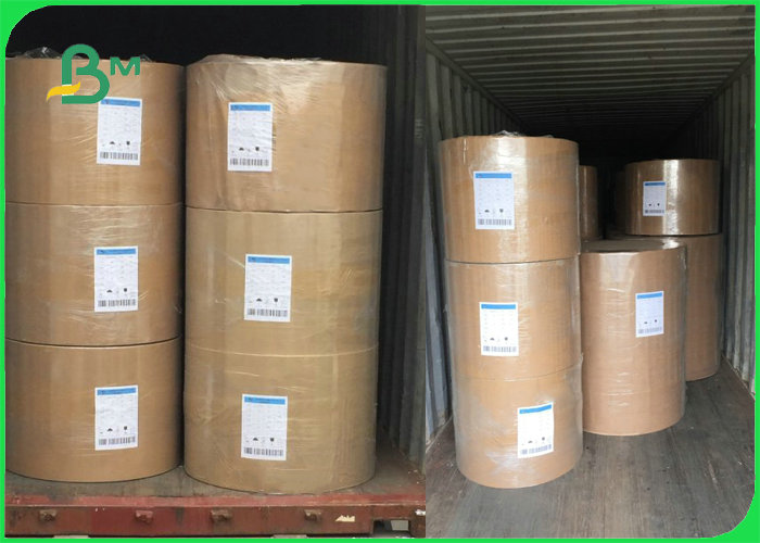 250g 325g 365g White Coated Kraft Back Board For Take Away Boxes Food Safe