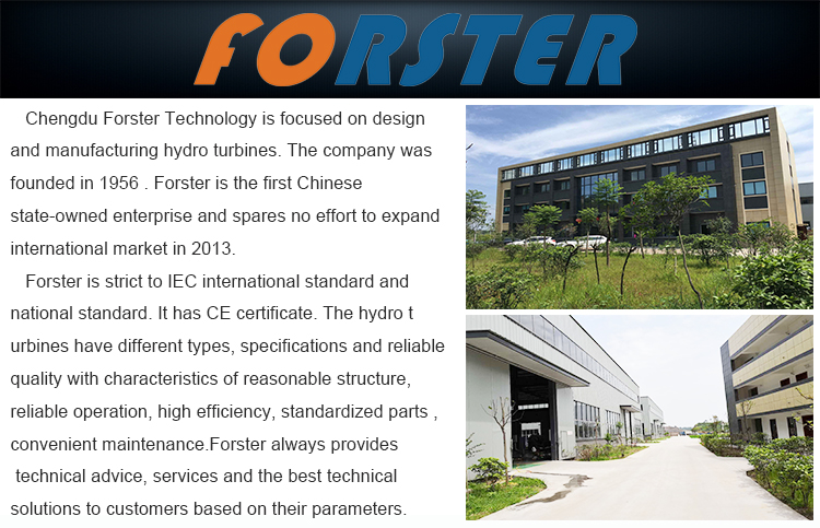 High efficiency stable output automatic remote control Hydro Power Francis Turbine Generator For Hpp