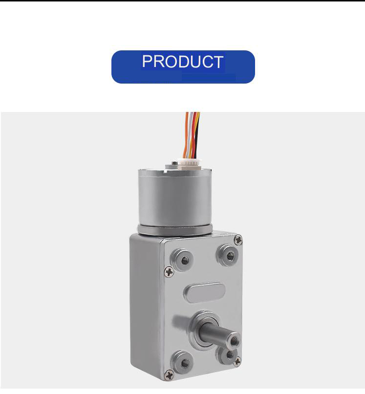 Micro Electric Dc Brushless Motor 300rpm 25w CCC With Worm Gear