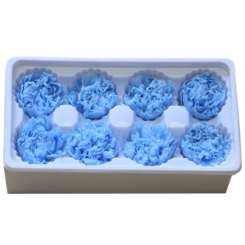 Factory Price Preserved Flowers Real Preserved Carnation For Mother